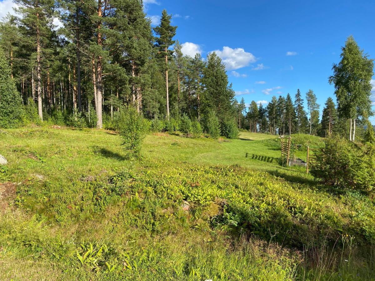 Beautiful 4-5 Persons Cottage In Alvdalen Blyberg Kültér fotó